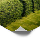 Lignes courbes en affiche verte toscane (Coin)