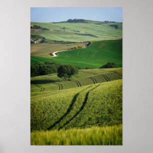 Lignes courbes en affiche verte toscane