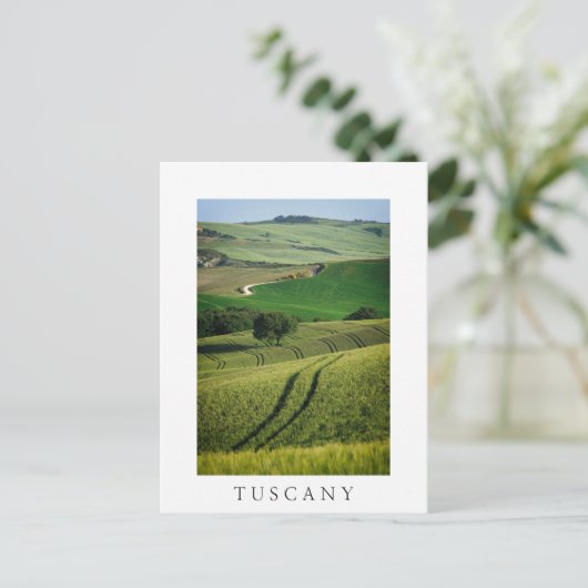 Lignes courbes en vert Toscane élégante carte post (Debout devant)