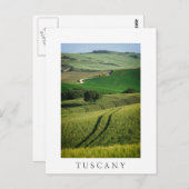 Lignes courbes en vert Toscane élégante carte post (Devant / Derrière)