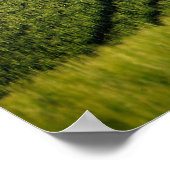 Lignes courbes sur une affiche de la Toscane verte (Coin)