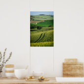 Lignes courbes sur une affiche de la Toscane verte (Cuisine)