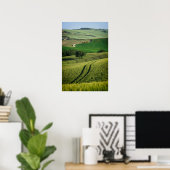 Lignes courbes sur une affiche de la Toscane verte (Bureau à domicile)