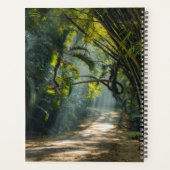 Lignes de Bambou (Dos)