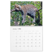 Lignes du calendrier (Jan 2026)