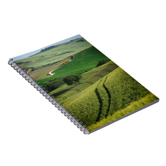 Lignes sinueuses dans le carnet vert de la Toscane (Côté Droit)