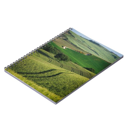 Lignes sinueuses dans le carnet vert de la Toscane (Côté gauche)