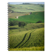 Lignes sinueuses dans le carnet vert de la Toscane (Devant)
