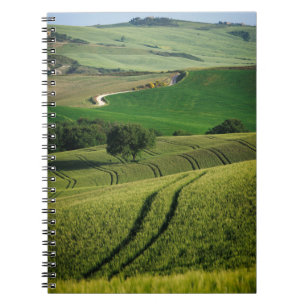 Lignes sinueuses dans le carnet vert de la Toscane