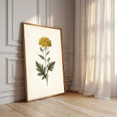 Ligularia botanique Art mural Cottagecore