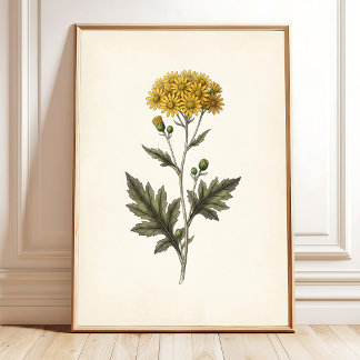 Ligularia botanique Art mural Cottagecore