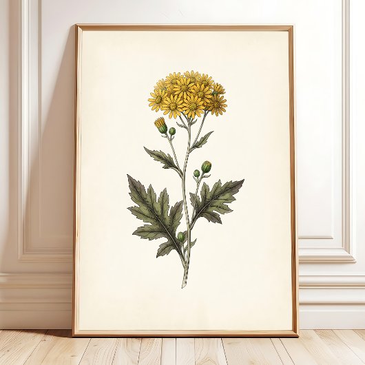 Ligularia botanique Art mural Cottagecore