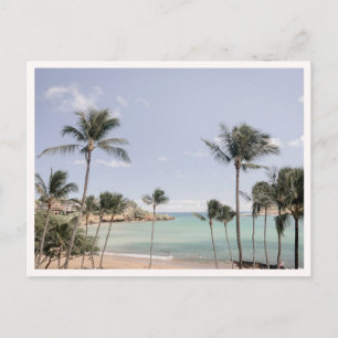Lihue Kauai Palmbomen Hawaii Foto Wenskaart Briefkaart