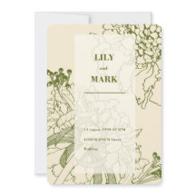 Lijnillustratie van de Garden Scabiosa-bloem.