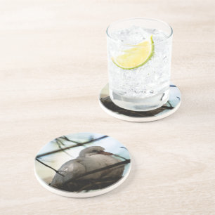 Lijnmeester Zandsteen Onderzetter