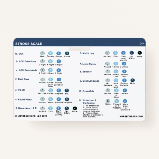 LIJNSCHAAL BADGE (Voorkant)