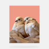 lijst acryl bord (Voorkant)