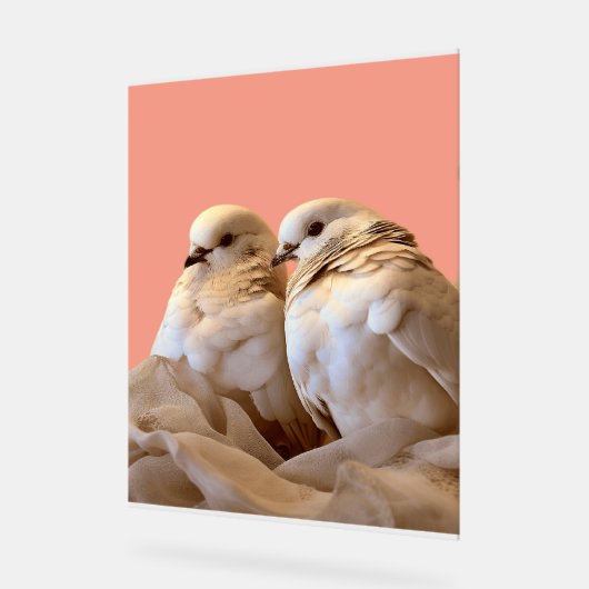 lijst acryl bord (Hoek)