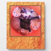 Lijst van het vogelgrieppatroon van het Afbeelding Fotoplaat (Voorkant)