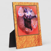 Lijst van het vogelgrieppatroon van het Afbeelding Fotoplaat (Zijkant)