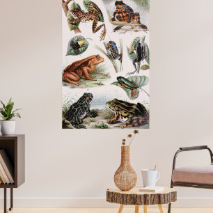  lijst van kikkervissoorten Poster