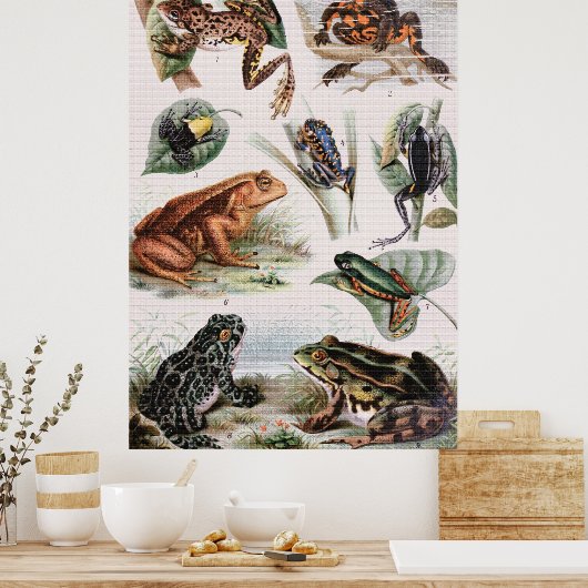 lijst van kikkervissoorten Poster (Keuken)