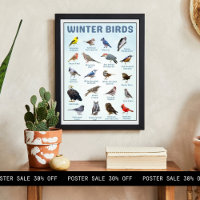 lijst van wintervogels in de VS