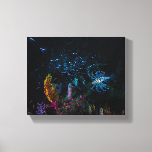 Lijstervissen, de dame van de zachte koraaltuin canvas afdruk