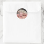 Likken baby sticker (Tas)
