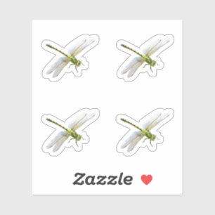 likkerlichten sticker