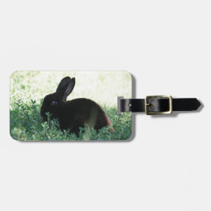 Lil Black Bunny Bagagelabel