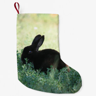 Lil Black Bunny Double Sided Kleine Kerstsok