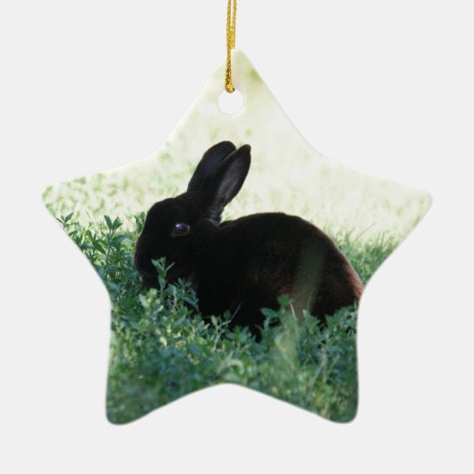 Lil Black Bunny Keramisch Ornament (Voorkant)