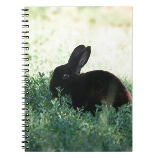Lil Black Bunny Notitieboek (Voorkant)