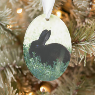 Lil Black Bunny Ornament