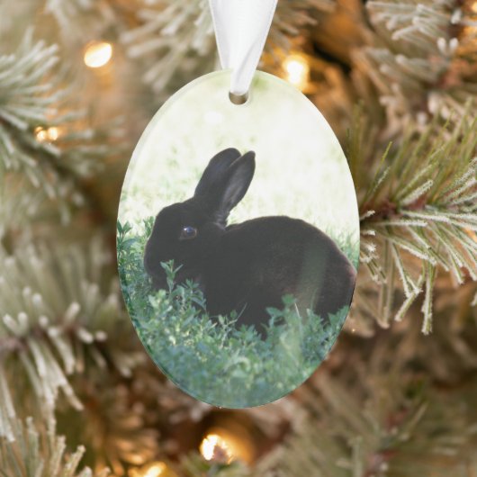 Lil Black Bunny Ornament (Boom)