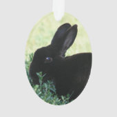 Lil Black Bunny Ornament (achterkant)