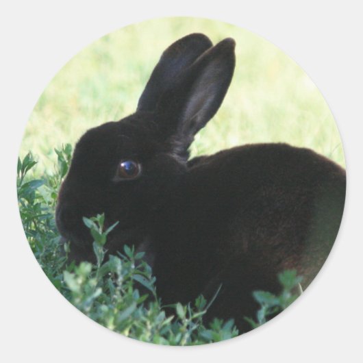Lil Black Bunny Ronde Sticker (Voorkant)