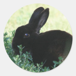 Lil Black Bunny Ronde Sticker