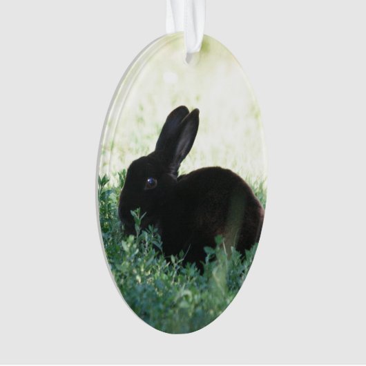 Lil Bunny noir (devant)