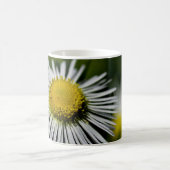Li'l Daisy Mug (Centre)