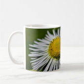 Li'l Daisy Mug (Gauche)