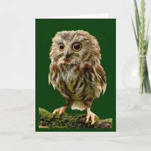 'Lil Owl-bemoedigingskaart' Kaart