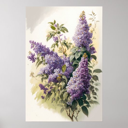 Lila Bloemen Art Print Poster (Voorkant)