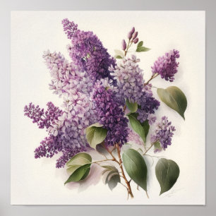 Lila Bloemen Art Print Poster