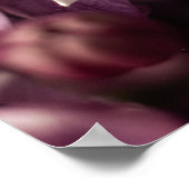 Lila bloesem na de regen poster (Hoek)