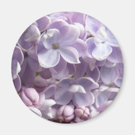 Lila Blossom Magnet Magneet