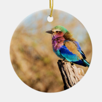 Lila-Breasted Roller Colorful African Bird Keramisch Ornament