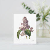 Lila Briefkaart (Staand voorkant)