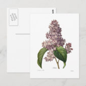 Lila Briefkaart (Voorkant / Achterkant)